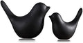 FANTESTICRYAN Small Birds Statues Home Decor, Modern Style, Black, S&L 2pcs by FANTESTICRYAN
