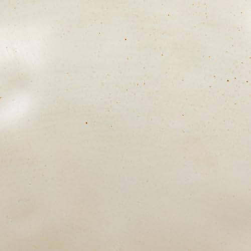 Creative Co-Op Stoneware Bowl w Reactive Glaze, White - Image 6