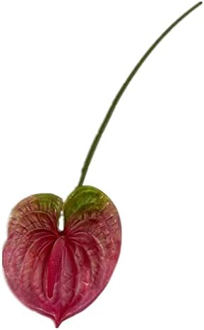 8pcs Artificial Anthurium Flower Branch 60cm 3D Printing Effect Faux Real Touch Single Stem per Piece Anthurium for Home Table Floral Decoration (deep Pink) by Unknown
