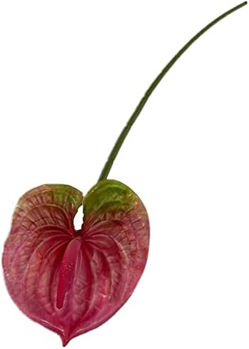 8pcs Artificial Anthurium Flower Branch 60cm 3D Printing Effect Faux Real Touch Single Stem per Piece Anthurium for Home Table Floral Decoration (deep Pink) - Image 2