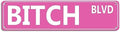 Retro Pink Tin Metal Sign - 'BITCH BLVD' - Bold Statement Decor for Home, Bar, or Dorm - 16x4 Inches - Unique Gift Idea for Friends(B71) by SEHINU