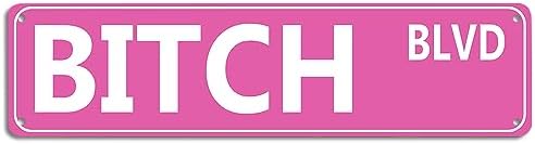 Retro Pink Tin Metal Sign - 'BITCH BLVD' - Bold Statement Decor for Home, Bar, or Dorm - 16x4 Inches - Unique Gift Idea for Friends(B71) by SEHINU