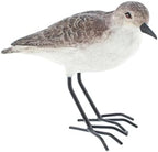 The Bridge Collection Realistic Shorebird Figure - Sandpiper Bird Statue by TheBridgeCollection