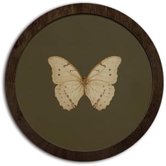 CFFJLHN Green Butterfly Wall Art Decor, Bedroom Round Wooden Wall Art Vintage Butterfly Moth Framed Prints, Retro Cottagrcore Round Wall Hanging Decor for Bedroom Home Decorations, 10x10 Inch by Unknown