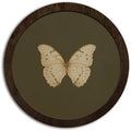 CFFJLHN Green Butterfly Wall Art Decor, Bedroom Round Wooden Wall Art Vintage Butterfly Moth Framed Prints, Retro Cottagrcore Round Wall Hanging Decor for Bedroom Home Decorations, 10x10 Inch by Unknown