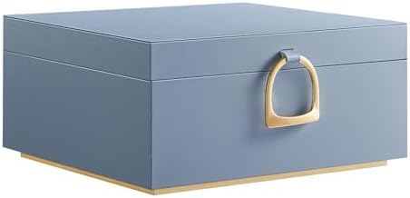 SONGMICS 2-Layer Jewelry Box with Handle, Removable Tray, Floating Effect by SONGMICSbySONGMICSHOME