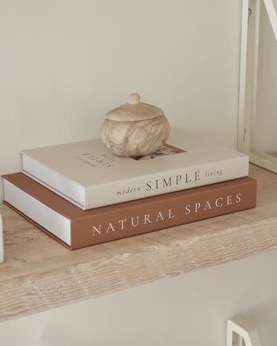 ZICOTO Beautiful Decorative Books Set of 2 for Your Coffee Table & Shelf - Image 5