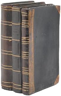Decorative Books Coffee Table Books Decor - Resin Retro Classical Fake Decorative Books Set of 3 for Living Room, Office, Mantle Shelves Decor 4.2 * 2.7 * 6.2 Inch Guichifun by Guichifun