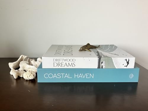 Decorative Faux Book Storage Box 2-Pack with Magnetic Close for Living Room Decor, Room Decor Aesthetic, Shelf Decor - Coastal Style Fake Book for Coffee Table - Image 4