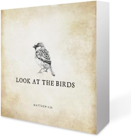 Inspirational Bible Verse Look at The Birds Wooden Box Sign Matthew 6:26 Scripture Desk Decor Rustic Scripture Wood Block Plaque Box Sign for Home Bedroom Office Shelf Table Decoration by Summerjokes