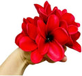 10 pcs Red Hawaiian Plumeria Flowers Artificial -1.5inch Stems by Unknown