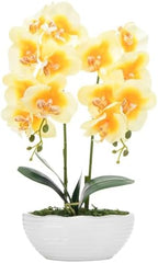 Large Artificial Orchid Arrangement in Oval Ribbed Ceramic Pot, Yellow by YSZL