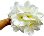10 pcs White Hawaiian Plumeria Flowers Artificial -1.5inch Stems 3inch by Unknown