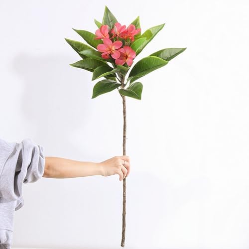 XIYUAN 35.5 Inch Artificial Frangipani Flower 2 Pack Lifelike Real Touch Artificial Plumeria Flowers,for Home Vase Garden Decoration Party Wedding Bouquet (Red) - Image 3
