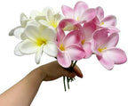 10 pcs White&Pink Plumeria Flowers Artificial with Stems,Real Touch by Unknown