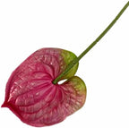 8pcs Artificial Anthurium Flower Branch 60cm 3D Printing Effect Faux Real Touch Single Stem per Piece Anthurium for Home Table Floral Decoration (deep Pink) - Image 3