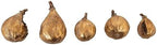 Creative Co-Op Resin Figs with Gold Finish (Set of 5 Pieces) by Unknown