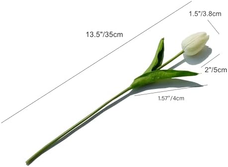 Mandy's 28pcs Artificial Cream Tulips - Image 2