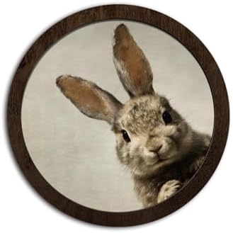 CFFJLHN Vintage Easter Bunny Wall Art Decor, Neutral Farmhouse Spring Cottage Easter Rabbit Bunny Round Hanging Wall Decor for Home Bedroom Living Room, 10x10 Inch by Unknown