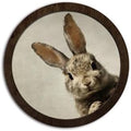 CFFJLHN Vintage Easter Bunny Wall Art Decor, Neutral Farmhouse Spring Cottage Easter Rabbit Bunny Round Hanging Wall Decor for Home Bedroom Living Room, 10x10 Inch by Unknown