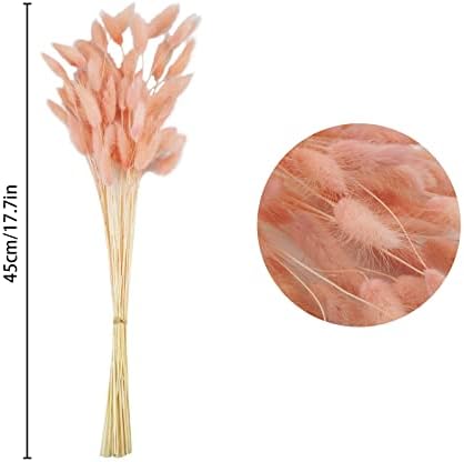 Uieke 17’’ Natural Bunny Tails Dried Flowers, 50 Pcs Dried Lagurus Ovatus, Dried Pink Pampas Grass Decor for Farmhouse Flower Arrangements Wedding Home Boho Party Decorations - Image 4