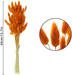 Uieke 120 Pcs Natural Bunny Tails Dried Flowers, 17’’ Dried Lagurus Ovatus, Orange Fall Dried Flowers for Fall Floral Arrangements Wedding Centerpieces Home Baby Shower Party Decorations - Image 5
