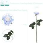 Kimura's Cabin 12pcs Real Touch Roses Artificial Flowers Lifelike Rose,Blue - Image 2
