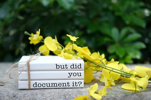 Funny Cute Office Desk Decor, Rustic Wooden Book Stack for Shelf Table Decoration - But Did You Document It Sign - Image 5