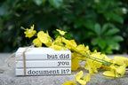 Funny Cute Office Desk Decor, Rustic Wooden Book Stack for Shelf Table Decoration - But Did You Document It Sign - Image 5