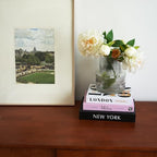 3 PCS Faux Decorative Books for Home Decor-Coffee Table Books Decor-Aesthetic Fake/Faux Books for Decoration,libros Decoration for Coffee Table, Shelf Accessories (3-Mix-MilanNewYorkLondon) - Image 2