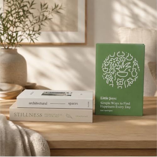 3 PCS Faux Decorative Books for Home Decor-Coffee Table Books Decor-Aesthetic Fake/Faux Books (Stillness Little Joyes Architectural) by YOYMJBY