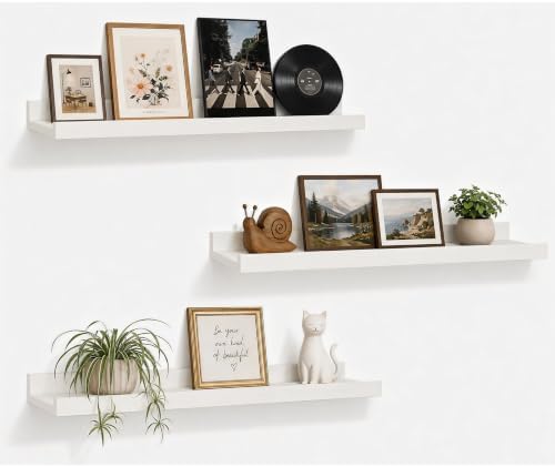 24inch Long Floating Shelves for Wall Decor, 3-Set Shelves with Lip, White by RicherHouse