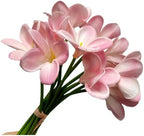 10 pcs Pink Artificial Plumeria Flowers with Stems,Real Touch,13inch by Unknown