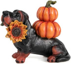 Fall Dachshund Pumpkin Dog Figurine Decor, Thanksgiving Dog Statue by Xintim