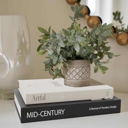 Aesthetic Decorative Books Set of 2 - Stylish Boxes for Coffee Table Decor - Image 4