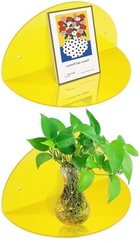 ROYALITA 2-Pack Small Acrylic Shelves Room Decor Floating Shelves, Yellow by ROYALITA