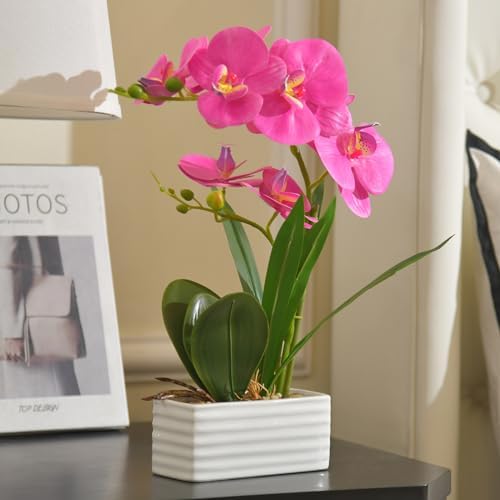 Artificial Real Touch Orchid Flowers with White Ceramic Vase, Purple Red by FuleHouzz