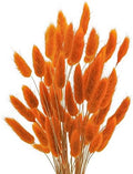 Uieke 120 Pcs Natural Bunny Tails Dried Flowers, 17’’ Dried Lagurus Ovatus, Orange Fall Dried Flowers for Fall Floral Arrangements Wedding Centerpieces Home Baby Shower Party Decorations by Uieke