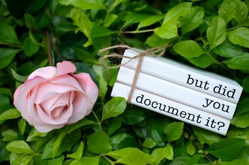 Funny Cute Office Desk Decor, Rustic Wooden Book Stack for Shelf Table Decoration - But Did You Document It Sign - Image 2