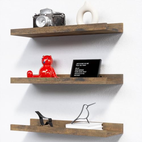 RICHER HOUSE 3-Set Floating Shelves with Lip, Brown Small Wall Shelf, 16In by RicherHouse