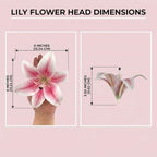 Large Artificial Lily Heads with Stamen, Light Pink, 25 Pack - Image 4