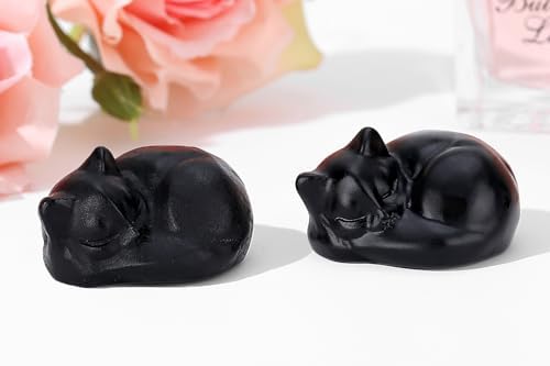 QINJIEJIE Black Obsidian Cat Crystals Decor Matt Sleeping Cat Statue Gifts - Image 3