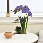 Artificial Real Touch Orchid Flowers with White Ceramic Vase, Lavender - Image 6