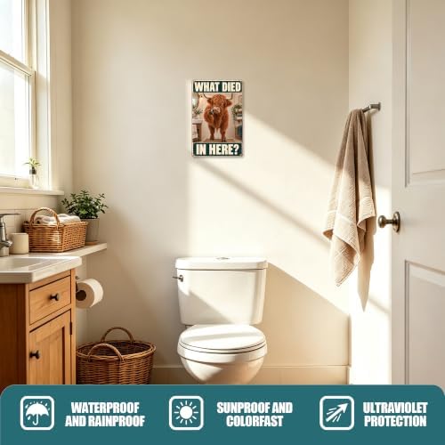 Funny Highland Cow Rustic Bathroom What Died In Here Sign - Image 3