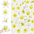 18 Pack White Large Fake Lilies Heads with Realistic Stamens by Unknown