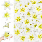 18 Pack White Large Fake Lilies Heads with Realistic Stamens by Unknown