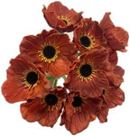 10 pcs Brown Artificial Flowers Poppy Flowers,11inch Faux Flower Stems by Unknown
