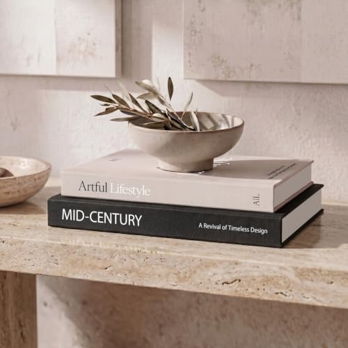 Aesthetic Decorative Books Set of 2 - Stylish Boxes for Coffee Table Decor by ZICOTO