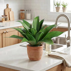 Agave Plant Artificial Faux Agave Plant 16.5In (Light Green) 2Pack - Image 5