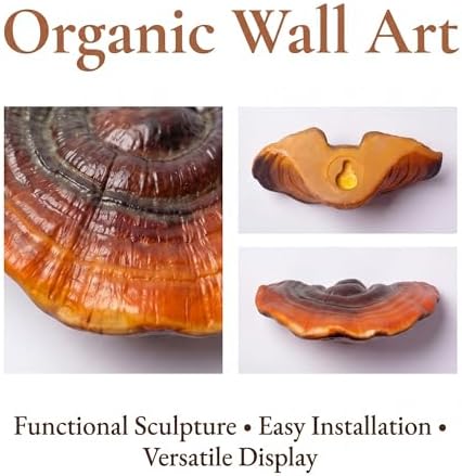 5pcs Cute Mushroom Shelves, Hanging Whimsical Cottage Core Home Wall Decor, Leopard Gecko Tank Accessories (Small) - Image 3